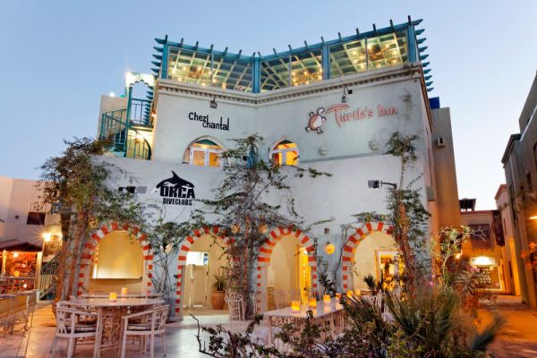 Turtle`s Inn