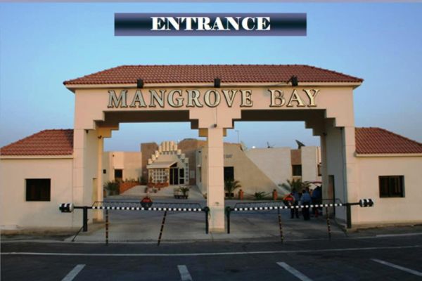 Mangrove Bay